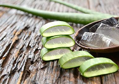 Aloe vera : la plante aux multiples bienfaits