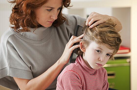 Lice: everything you need to know to get rid of them